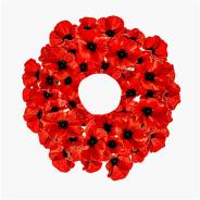 Poppies