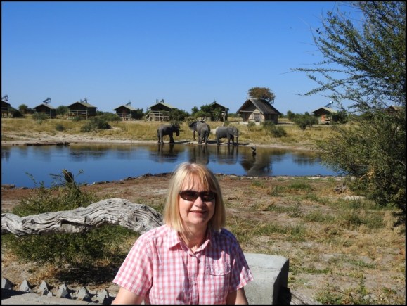 Bot - Elephant Sands