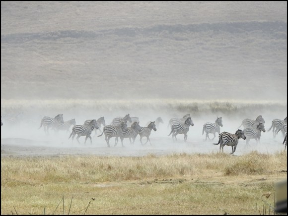 Ngorongoro Crater 2