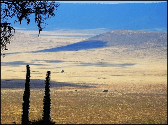 Ngorongoro Crater 3