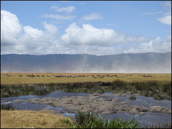 Ngorongoro Crater 4