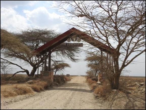Serengeti Gate