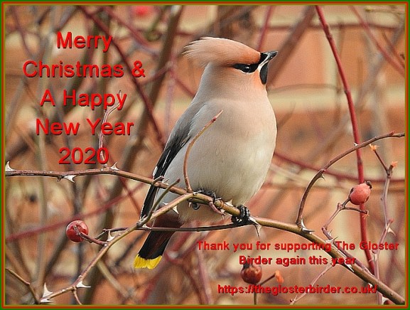 Christmas Card 2019.jpg